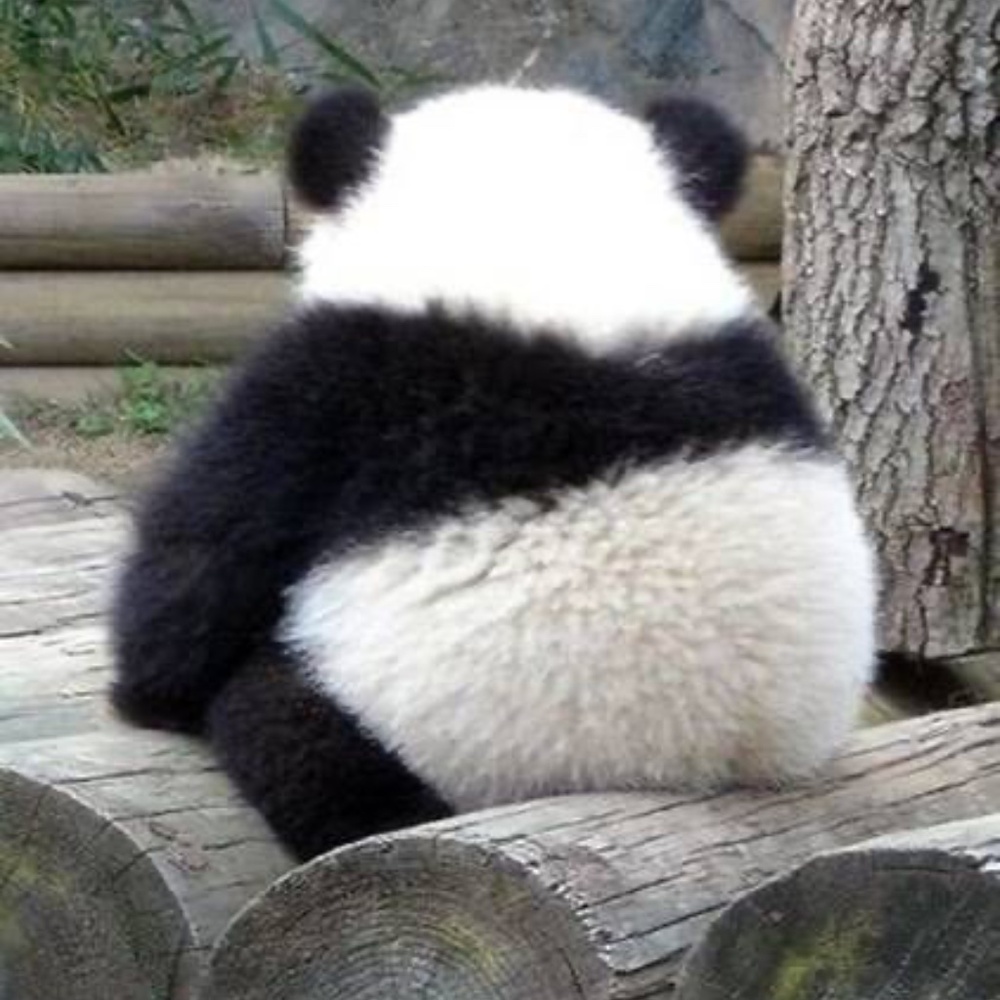 Meet your Posher, Alexandra